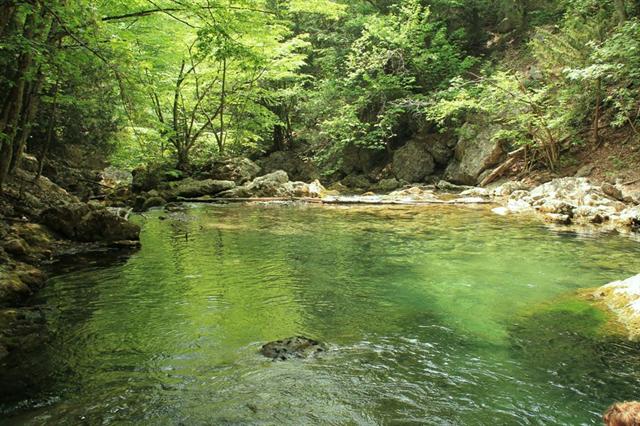 Учан-Су за 20 гривен, Большой Каньон за 40: сколько стоит отдых в крымских лесах