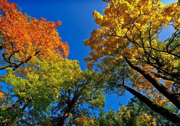 10 причин приехать в Одессу именно осенью