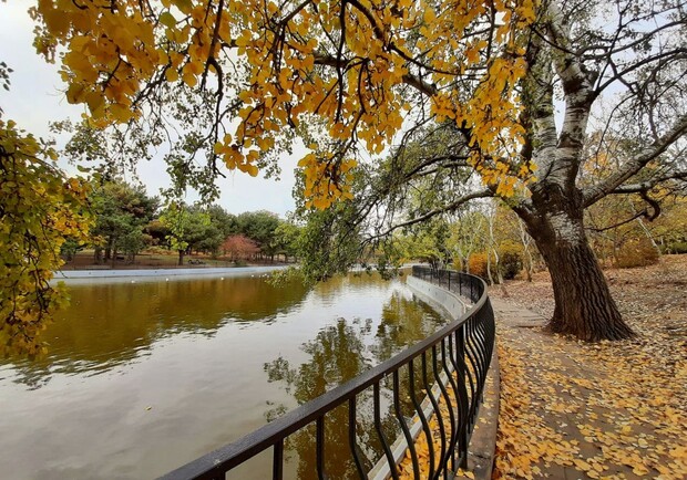 Осень в Одессе: фоторепортаж самых красивых мест города