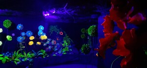 Интересный рекорд: в катакомбах под Одессой отметили арт-пространство 