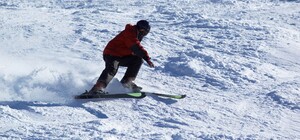 Відео дня: у Карпатах ведмідь влаштував погоню за лижником