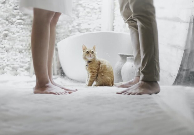 Любов зла: як львів'янам подати на розлучення і які документи для цього потрібні