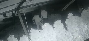 Внимание, розыск: на Чоколовке двое пьяных вандалов сломали уличное пианино