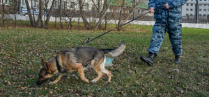 В Днепре полицейские нашли в куче мусора 17-летнего мальчика, который сбежал из дома