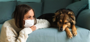 В Запорожской области судили женщину, которая без паспорта вышла выбросить мусор