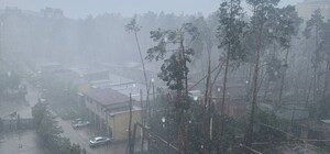 В Киеве и области непогода ломает деревья и затапливает улицы