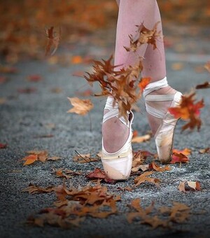 Вистави, концерти, майстер-класи, екскурсії: куди піти у Львові на вихідних, 12-13 листопада 