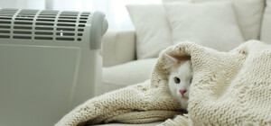 Киевлян призывают экономно использовать электрообогреватели