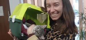 З початку 2023 року у Львові 