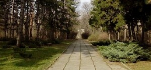 Жителей Днепра просят помочь ботаническому саду