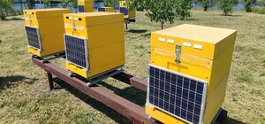 В Киевской области появилась управляемая со смартфона IT-пасека