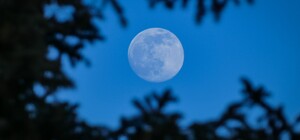 Голубая Луна над Киевом: когда увидеть суперлуние