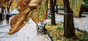 В Одессу наконец-то пришла настоящая осень (фото)
