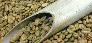 В одесские магазины завезли опасный кофе: если его пить, то можно впасть в кому (обновлено)