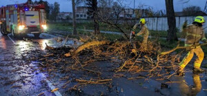 Через шквальний вітер у Києві вже двоє загиблих та 7 постраждалих