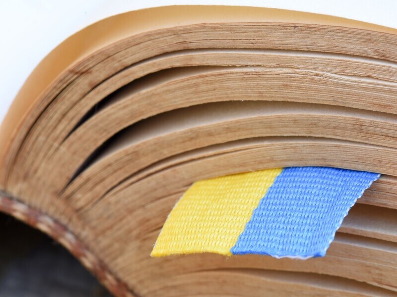 В Украине могут объединить два школьных предмета