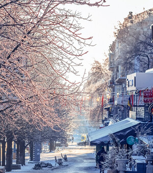 Новогодние праздники в Запорожье: куда пойти с 29 декабря по 1 января