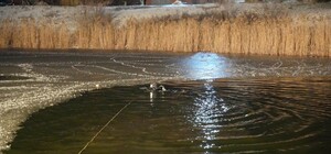 Провалились под лед: за три дня в Одесской области погибли четыре человека