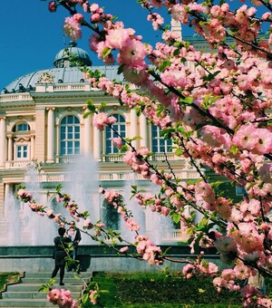 Концерт Александра Кварты и спектакль 