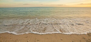 Курортный сезон приближается: в ОВА рассказали о подготовке пляжей