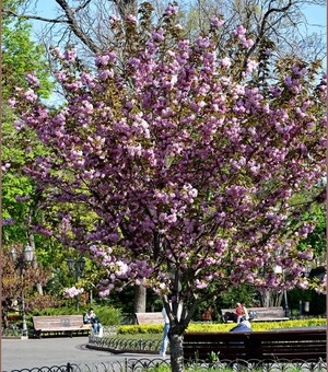 Концерт PARGENIUK и стендап Андрея Бережко: куда пойти в Одессе в пятницу и эти выходные