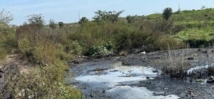 Загрязнение земель токсичными отходами: в Одесской области сообщили о подозрении директору предприятия