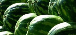 Где на этой неделе в Киеве пройдут продуктовые ярмарки. Адреса