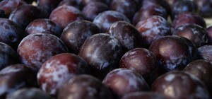 Где в эти выходные в Киеве пройдут продуктовые ярмарки. Адреса