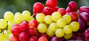 Где на этой неделе в Киеве пройдут ярмарки. Адреса