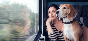 Укрзализныця обновила правила перевозки домашних животных: что нужно знать пассажирам