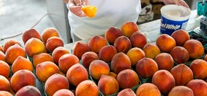 Где в эти выходные в Киеве пройдут продуктовые ярмарки. Адреса