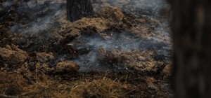 В ОВА рассказали, где в Днепропетровской области чаще всего происходят пожары