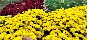 Диван подождет: куда пойти в Киеве на этой неделе, 29 сентября – 3 октября