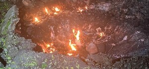 Более 20 ударов: оккупанты обстреляли ферму в Харьковской области, погибло 13 тысяч животных