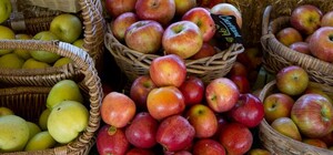 Где в эти выходные в Киеве пройдут продуктовые ярмарки. Адреса