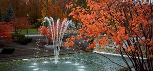 Туман и небольшие дожди: какая погода будет в Харькове в эти выходные