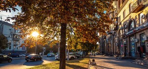 Какая погода будет в Запорожье в ноябре: прогноз синоптиков