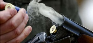 В Харьковской области мужчина из ружья застрелил собак