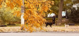 Середина ноября: какая погода будет в Одессе в эти выходные