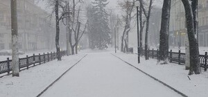 Мокрый снег, гололедица и почти нулевая видимость: что происходит в Днепре 11 января