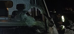 В Харькове Opel насмерть сбил двух людей на пешеходном переходе