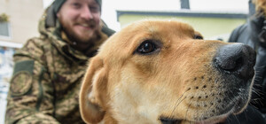 Военные передали в харьковский приют для животных целый микроавтобус теплых вещей