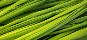 Где на этой неделе в Киеве пройдут продуктовые ярмарки. Адреса