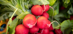 Где на этой неделе в Киеве пройдут ярмарки. Адреса