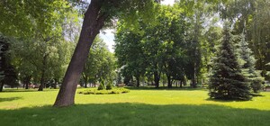 Погода в Харькове на этой неделе: сколько продлится жара