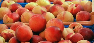 Где в эти выходные в Киеве пройдут продуктовые ярмарки. Адреса