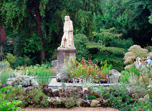 Справочник - 1 - Аптекарский сад Челси | Chelsea Physic Garden