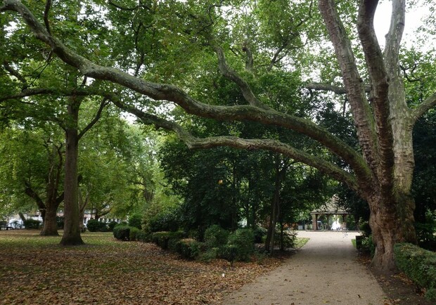 Справочник - 1 - Линкольнс-Инн-Филдс | Lincoln's Inn Fields