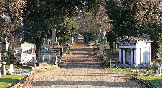 Справочник - 1 - Западный Норвуд | West Norwood