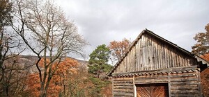 Осень на царском Шоссе Романовых: золотые рощи и волшебство засыпающей природы